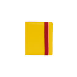 DEX Protection Binder