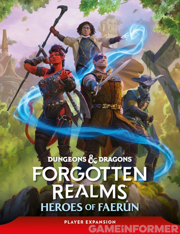 Dungeons & Dragons Forgotten Realms Player Expansion